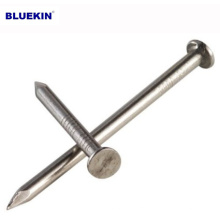 wholesale Round head panel pins concrete nails china nails